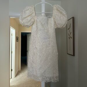 & Other Stories Puff Sleeve Organza Mini Dress